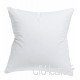 Oreiller Polyester Blanc - 65x65cm - Gamme Reve - B073P455HC